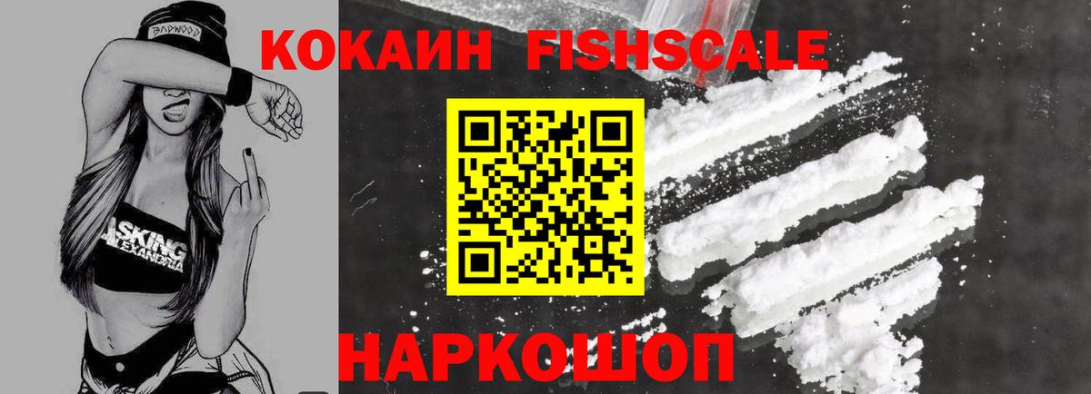 купить  сайты  Вход с VPN  Курчатов  COCAIN Fish Scale 