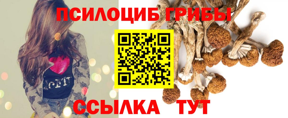 Псилоцибиновые грибы мицелий  что такое наркотик  Курчатов  Вход с VPN 